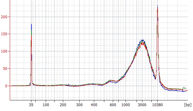 Long cfDNA (1000-3000 bp), in Buffer
